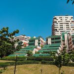 Pandan Valley