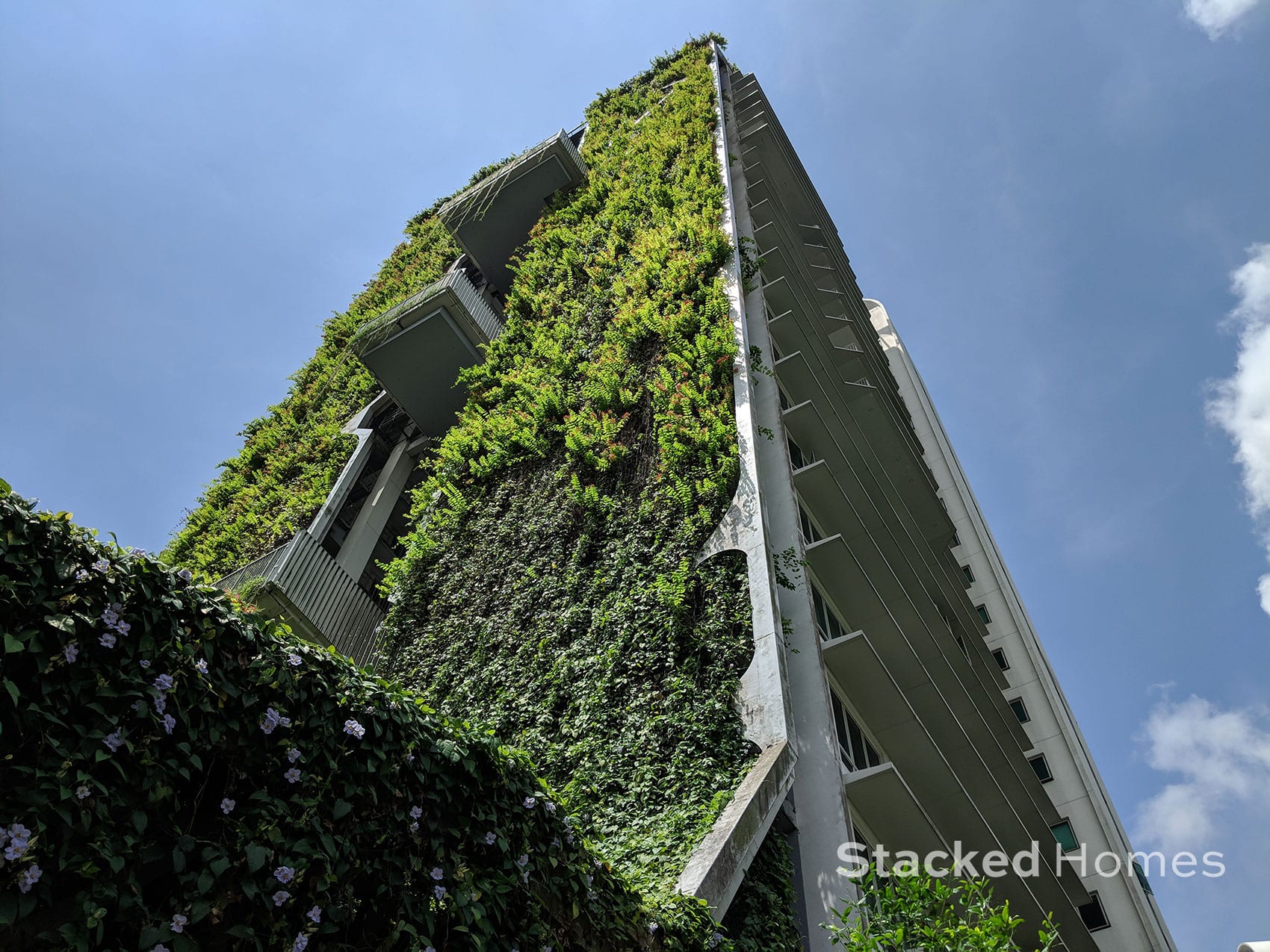 tree house condo green building