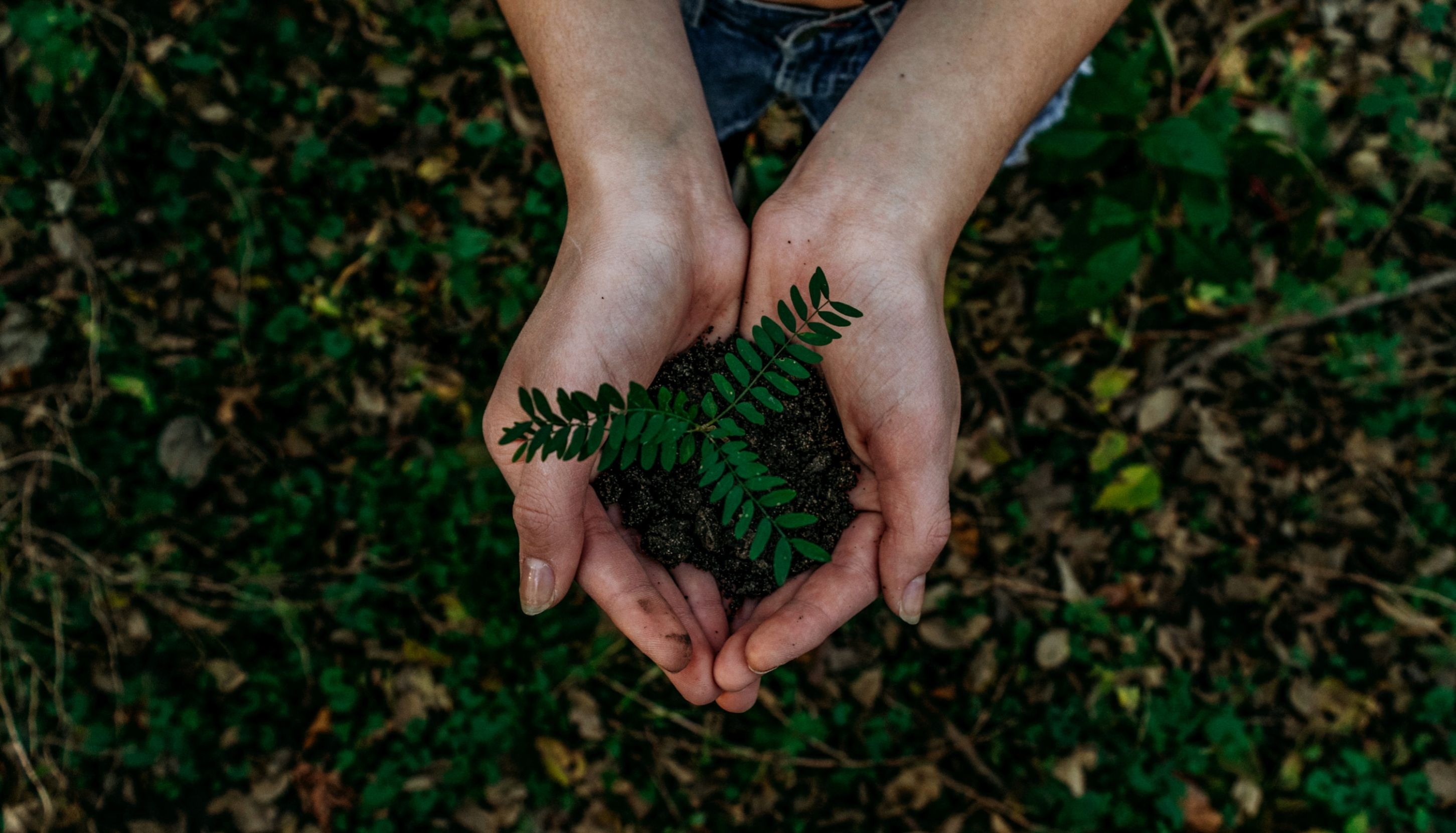 composting singapore