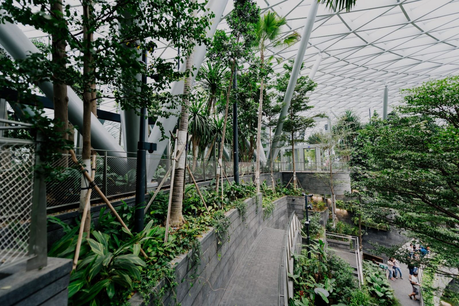 7 Indoor Plants to Keep Your Apartment Feeling Fresh