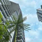 Clement Canopy review