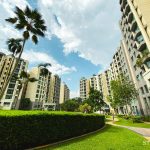 Signature Park review