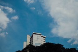 cpf accrued interest