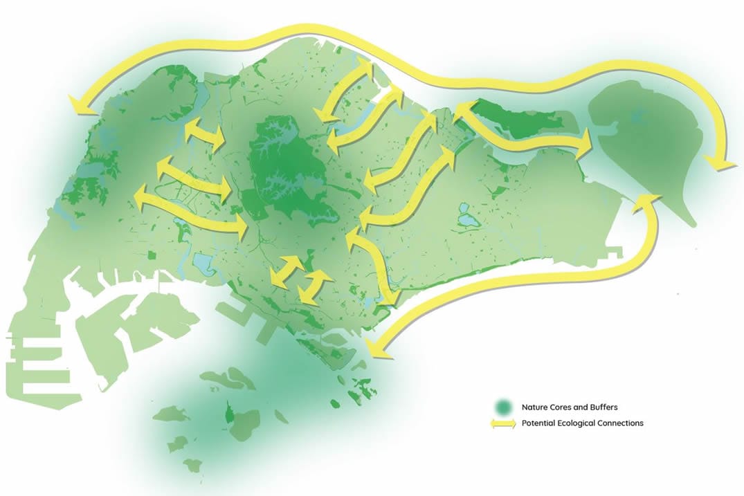 Ecological Connectivity between Nature Cores