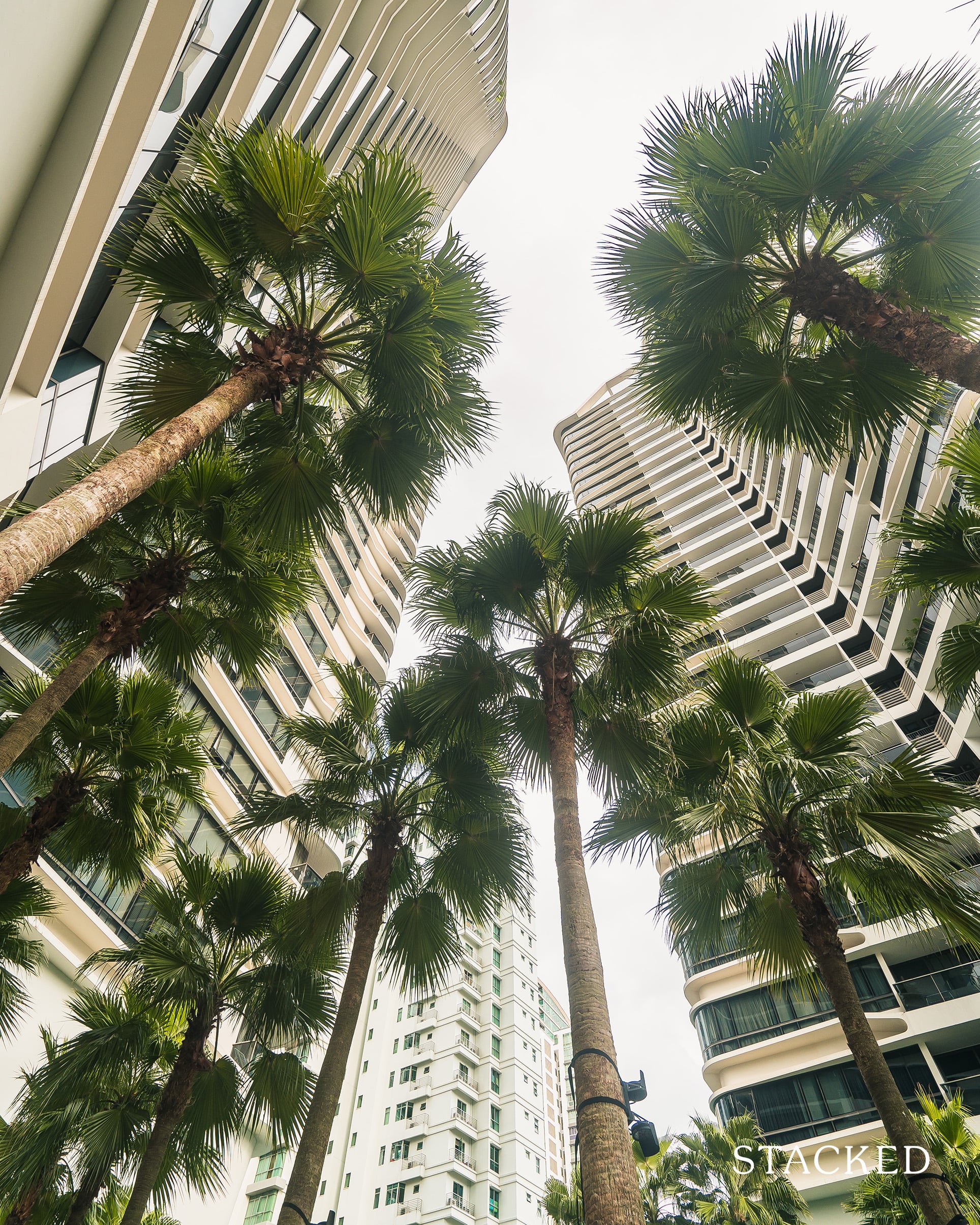 trilight condo trees view