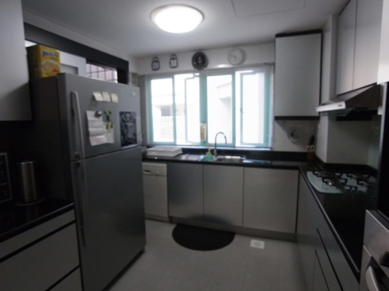 Southaven-Diving-Roof-Terrace-Penthouse-Clementi-Park-Upper-Bukit-Timah-Singapore