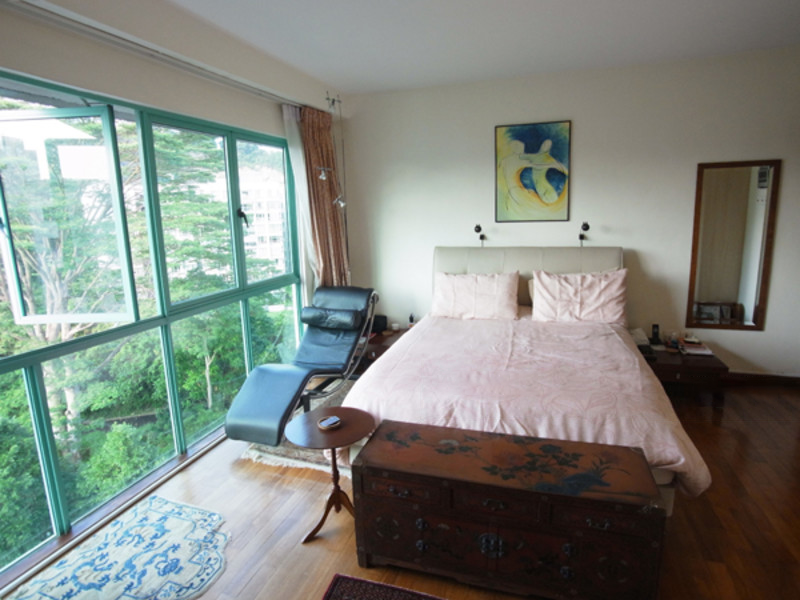 Southaven-Diving-Roof-Terrace-Penthouse-Clementi-Park-Upper-Bukit-Timah-Singapore