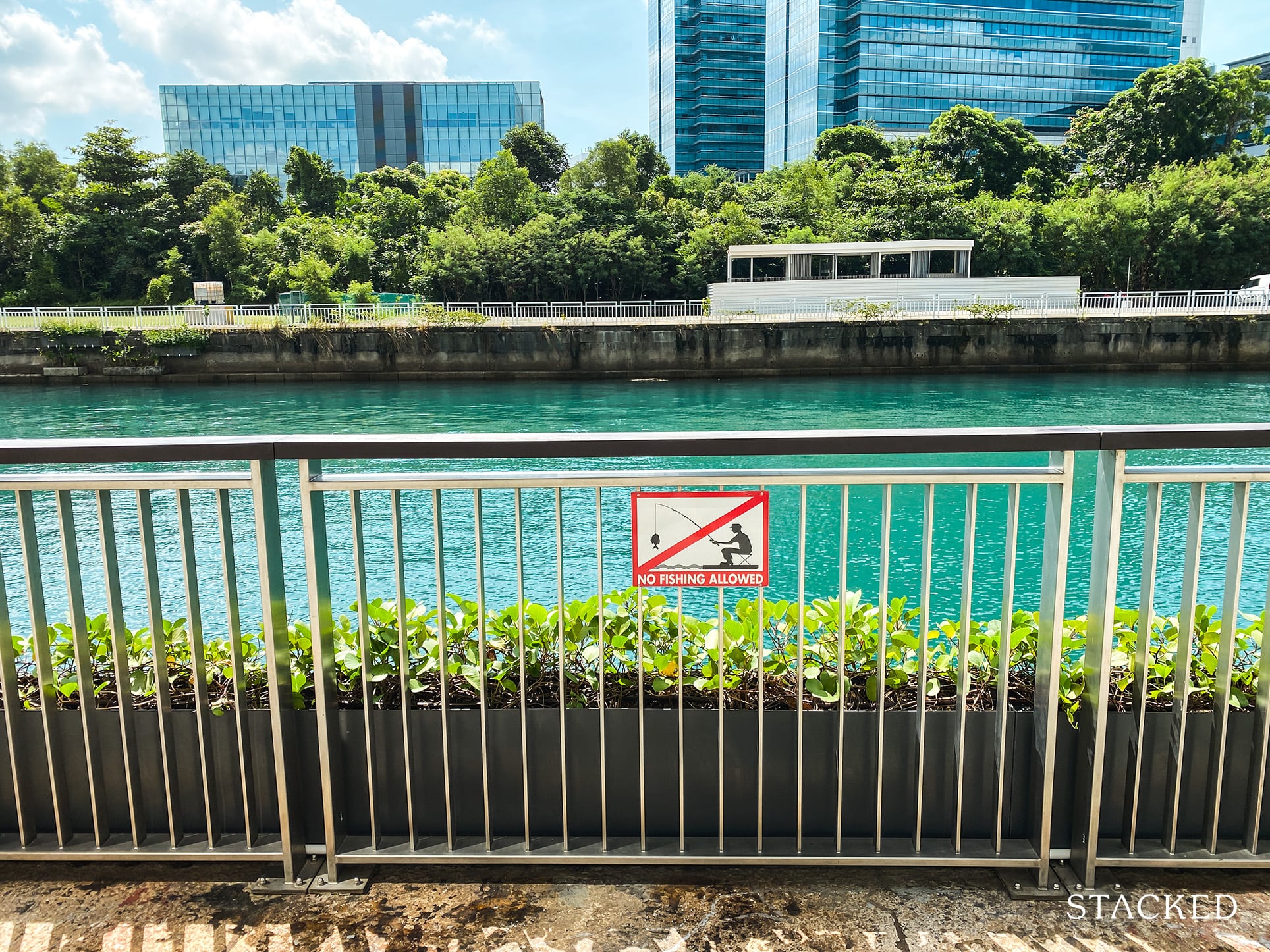 corals at Keppel Bay no fishing