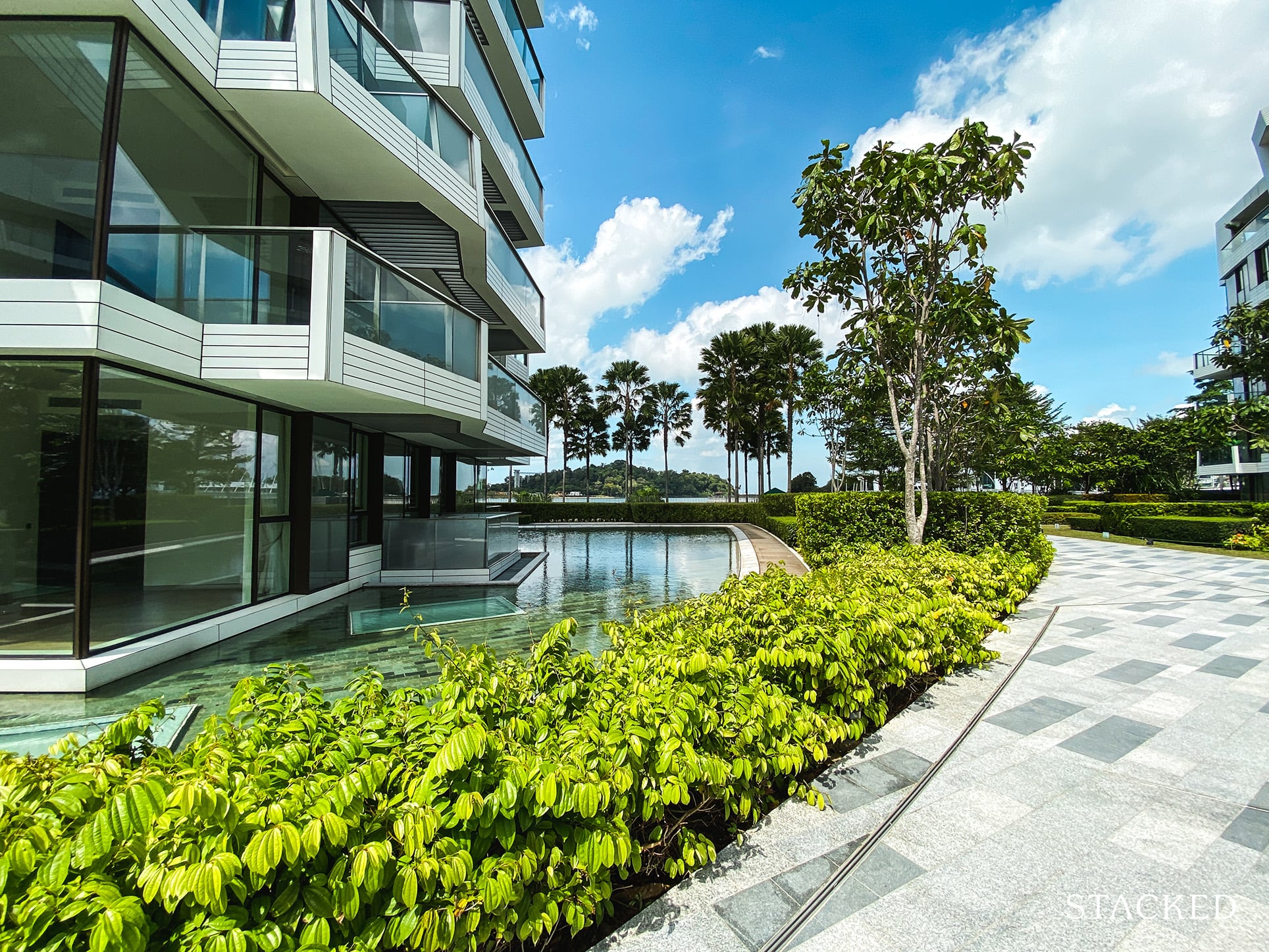 Corals at Keppel Bay view