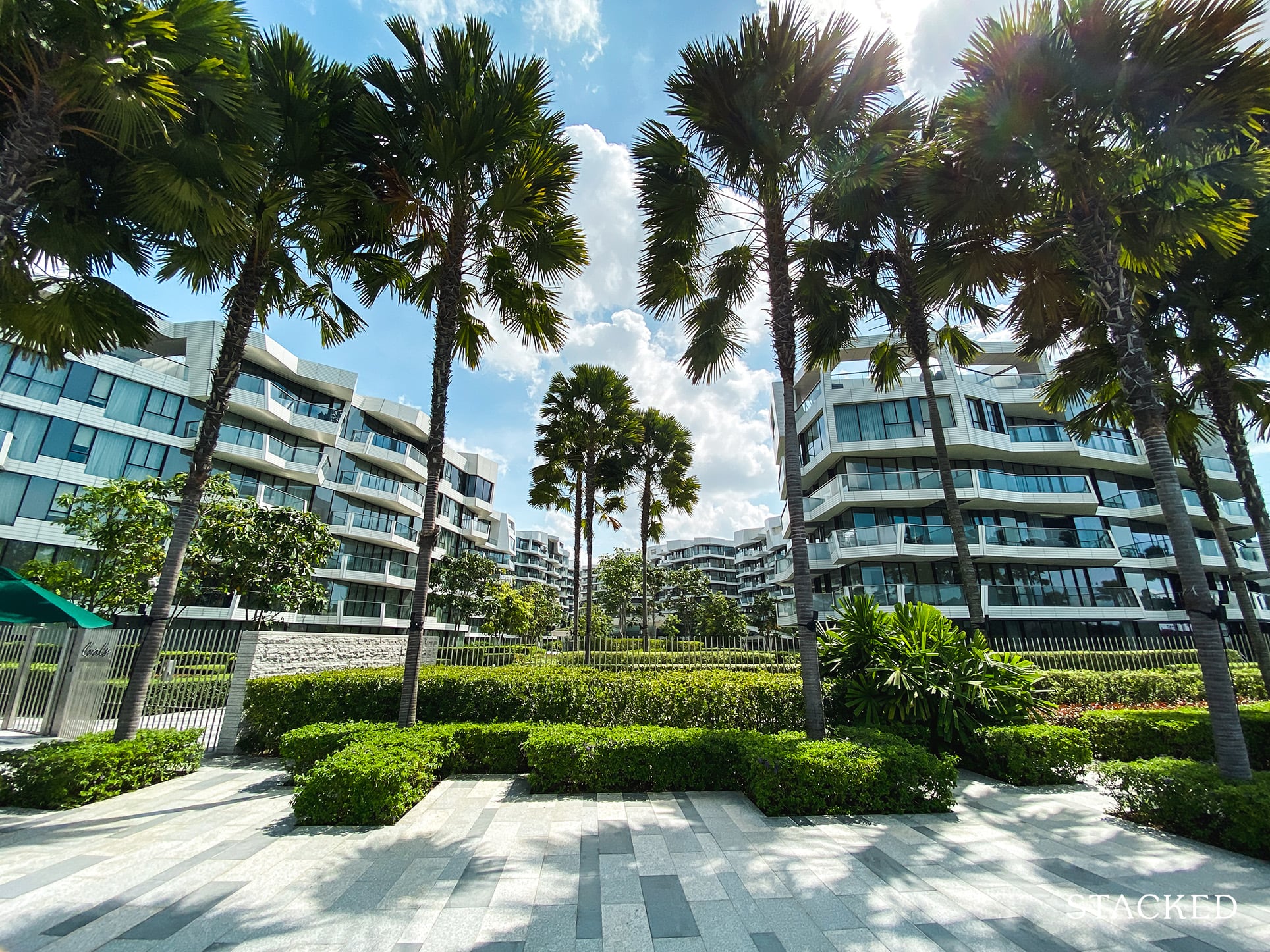 Corals at Keppel Bay view