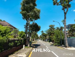 cluster housing vs landed homes