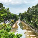 Bukit Timah district 21