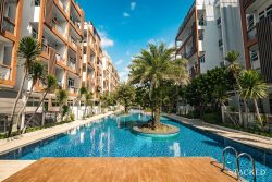 parc rosewood swimming pool 4
