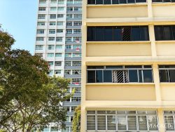 old hdb