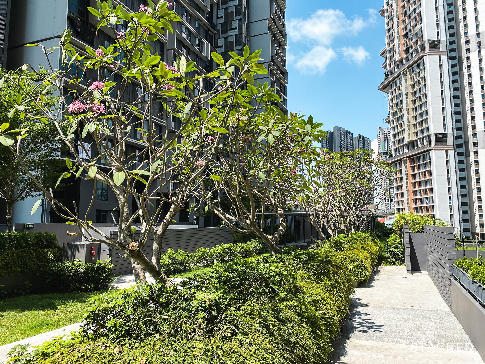 skyterrace@dawson Roof Garden Walkway