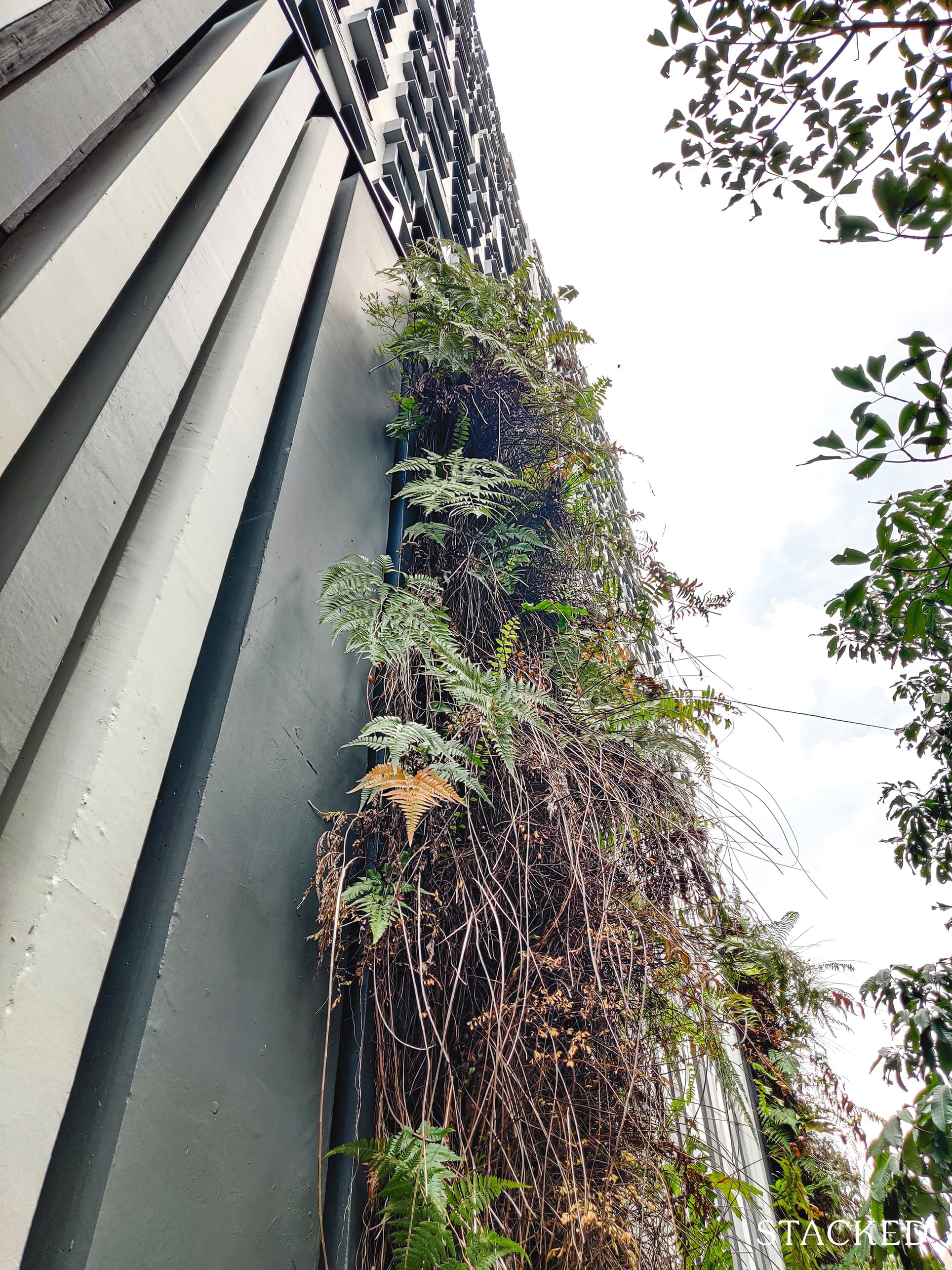 pinnacle@duxton vertical plants