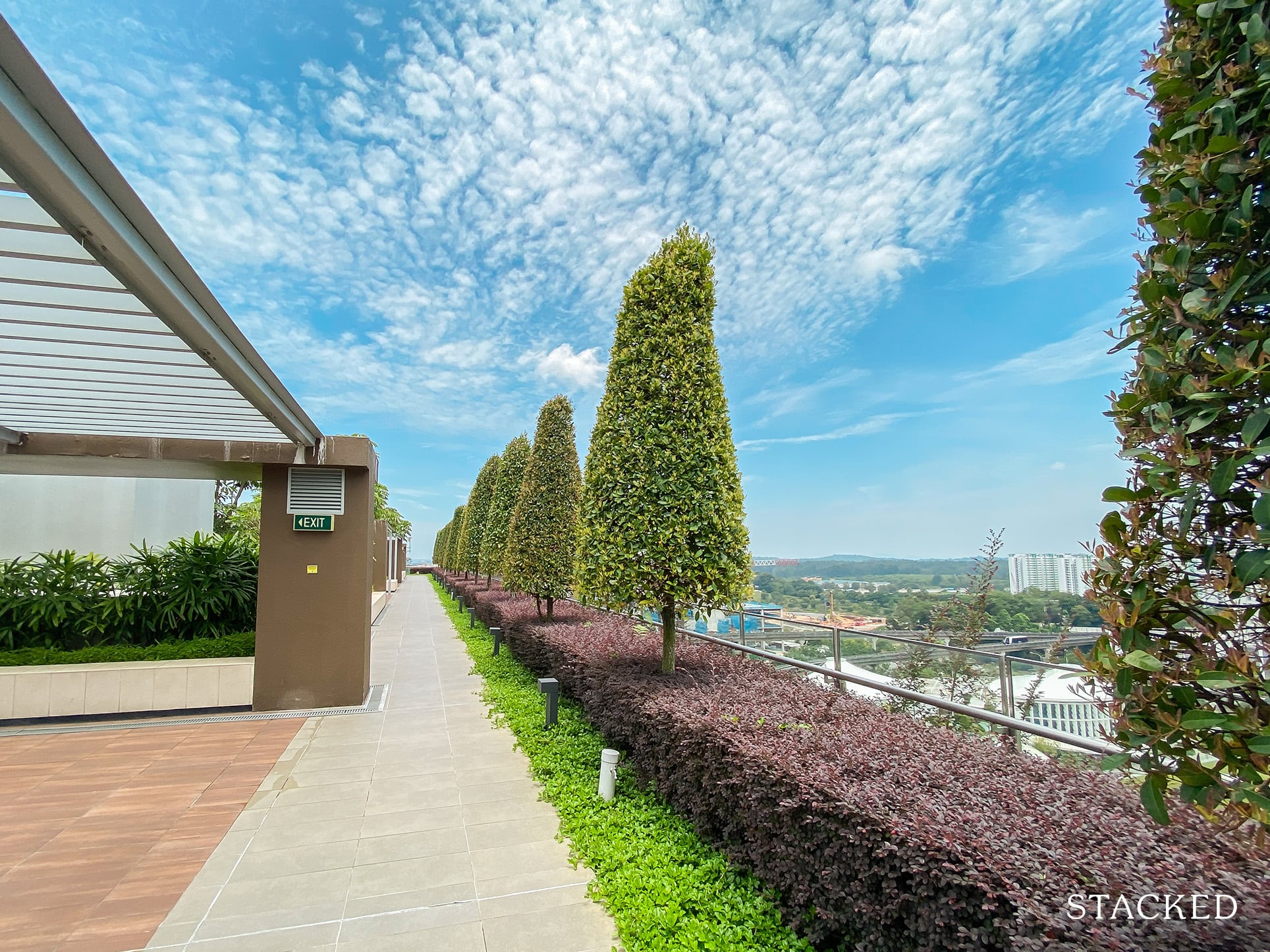 Watertown condo rooftop greenery