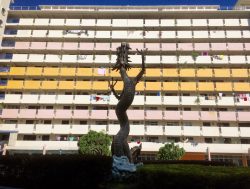 Whampoa dragon