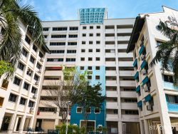old hdb flats