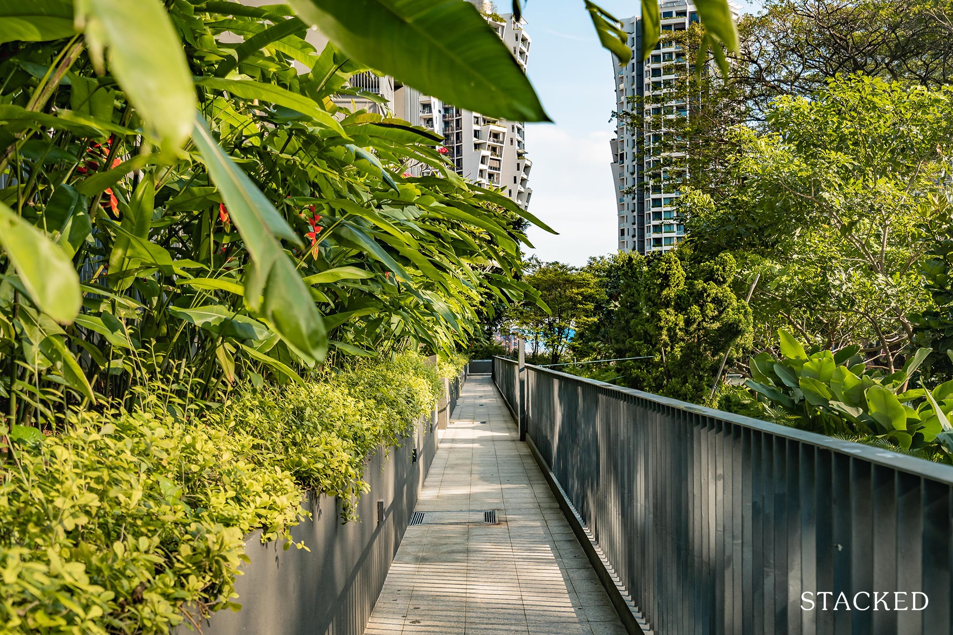 Alex residences forest trail