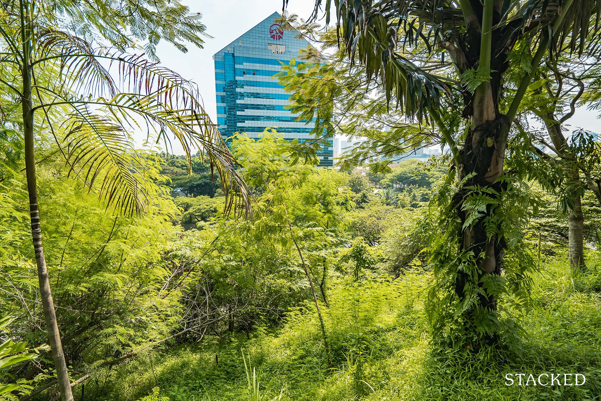 the interlace greenery