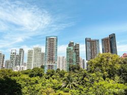 property market 2021