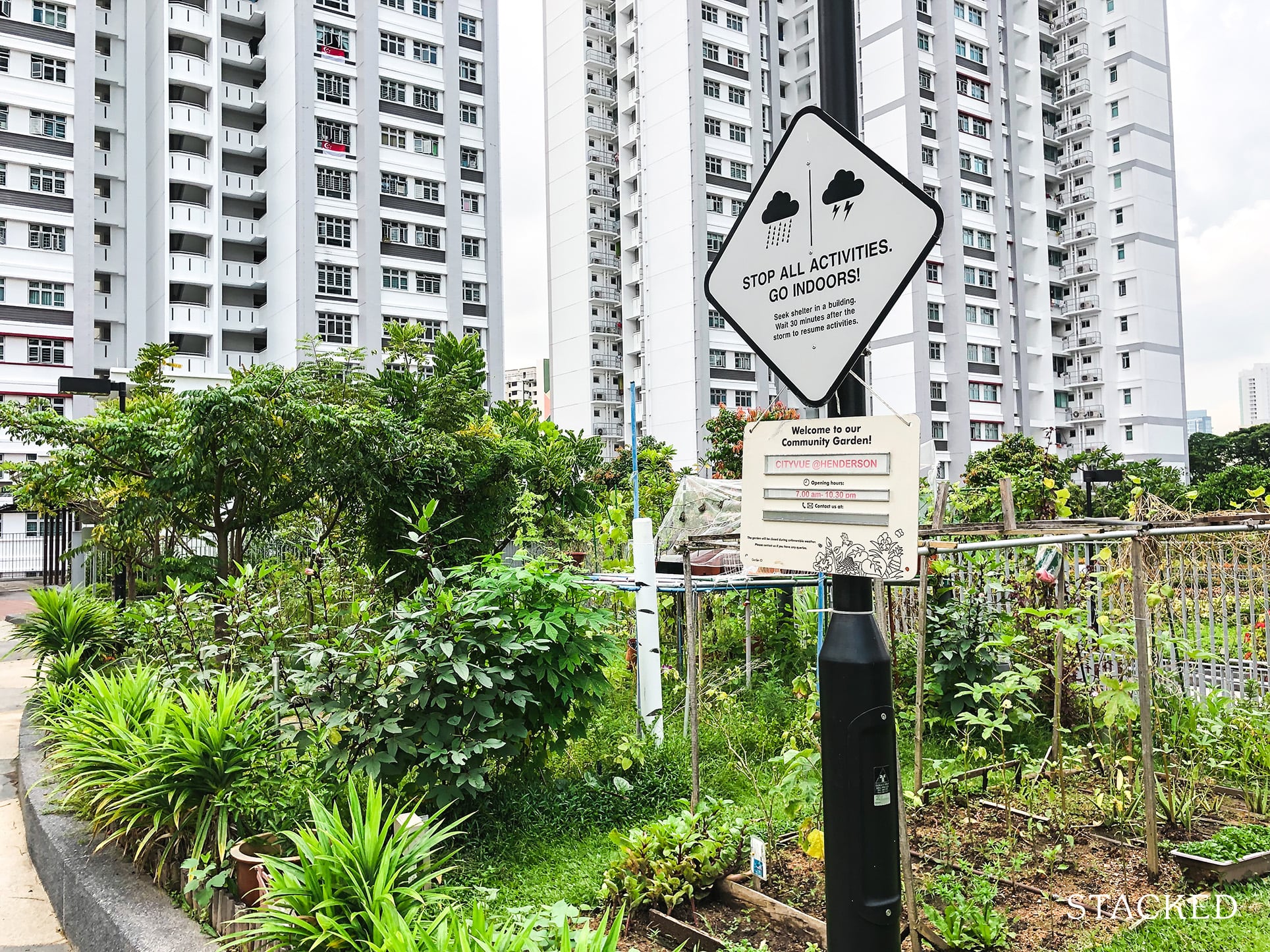 City Vue Henderson Community Garden