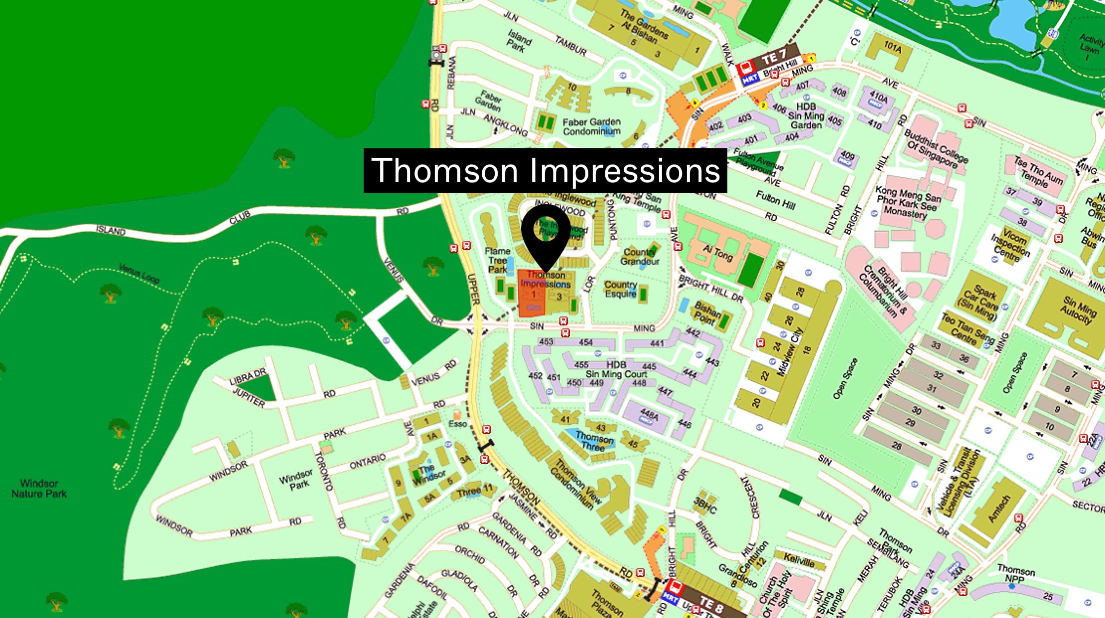 thomson impressions