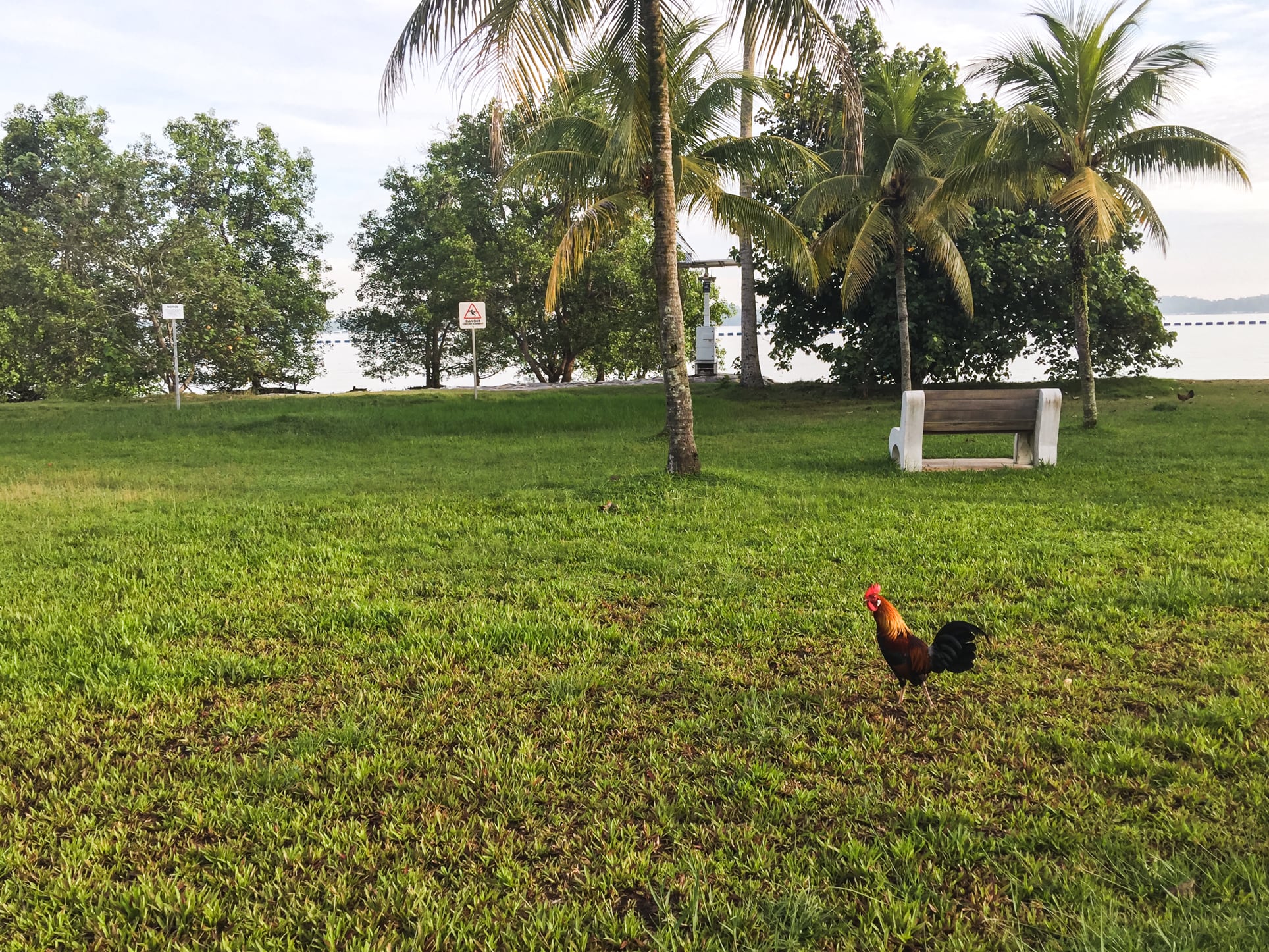 jalan loyang besar beach 4