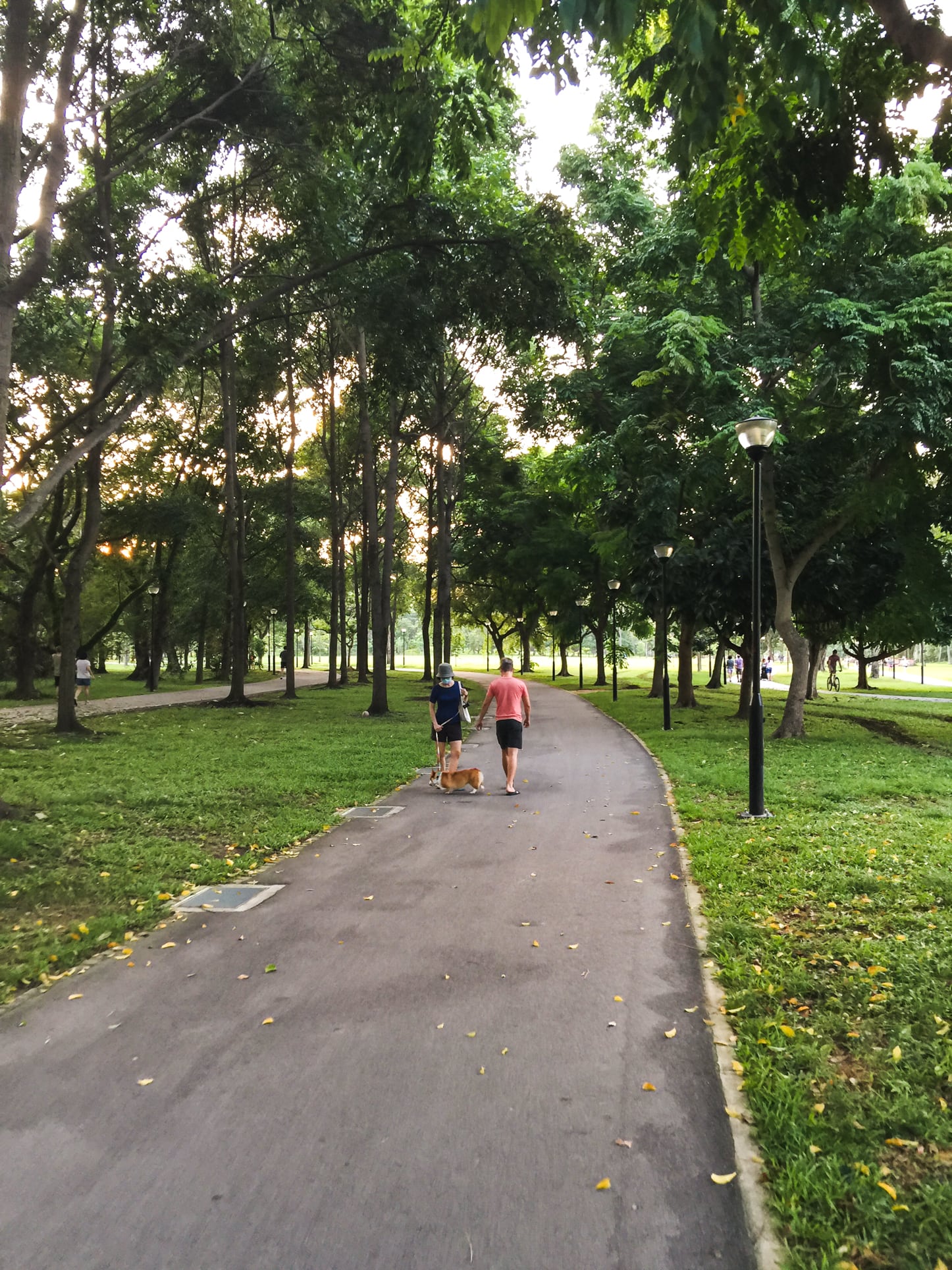 jalan loyang besar park 3