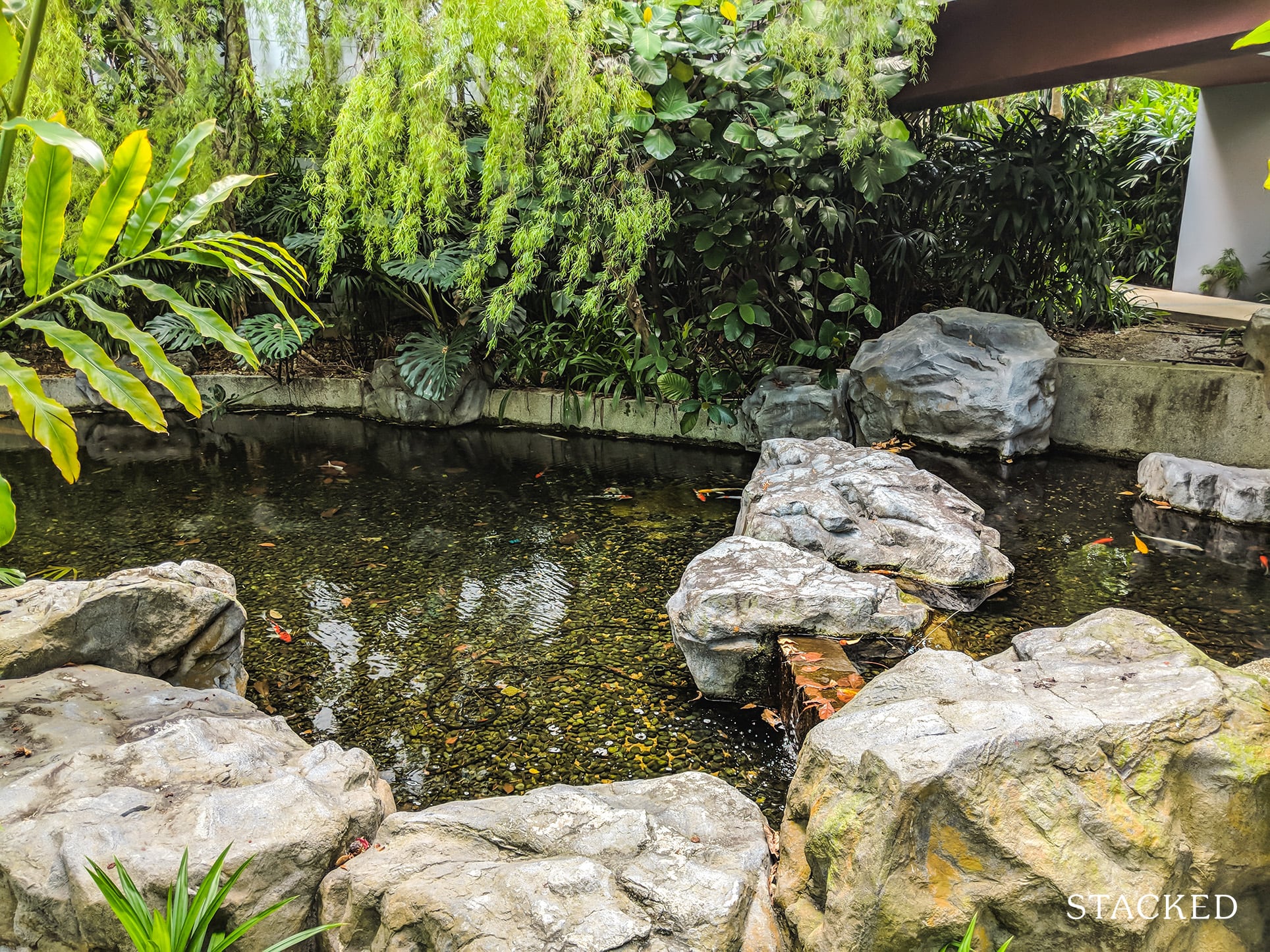 Tree House Condo koi pond