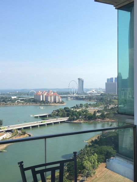The Riverine By The Park Balestier Toa Payoh Singapore