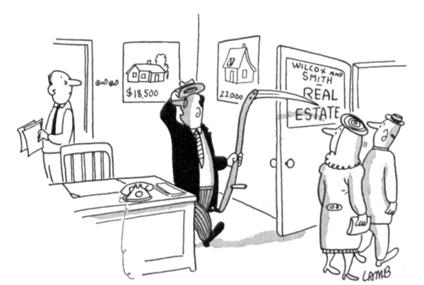 real estate cartoon