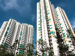 right-size hdb