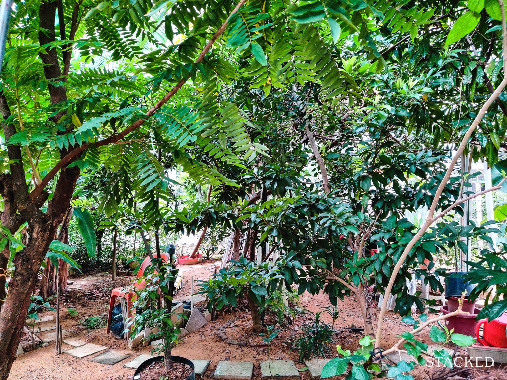 Treelodge@Punggol Community Garden 4 1