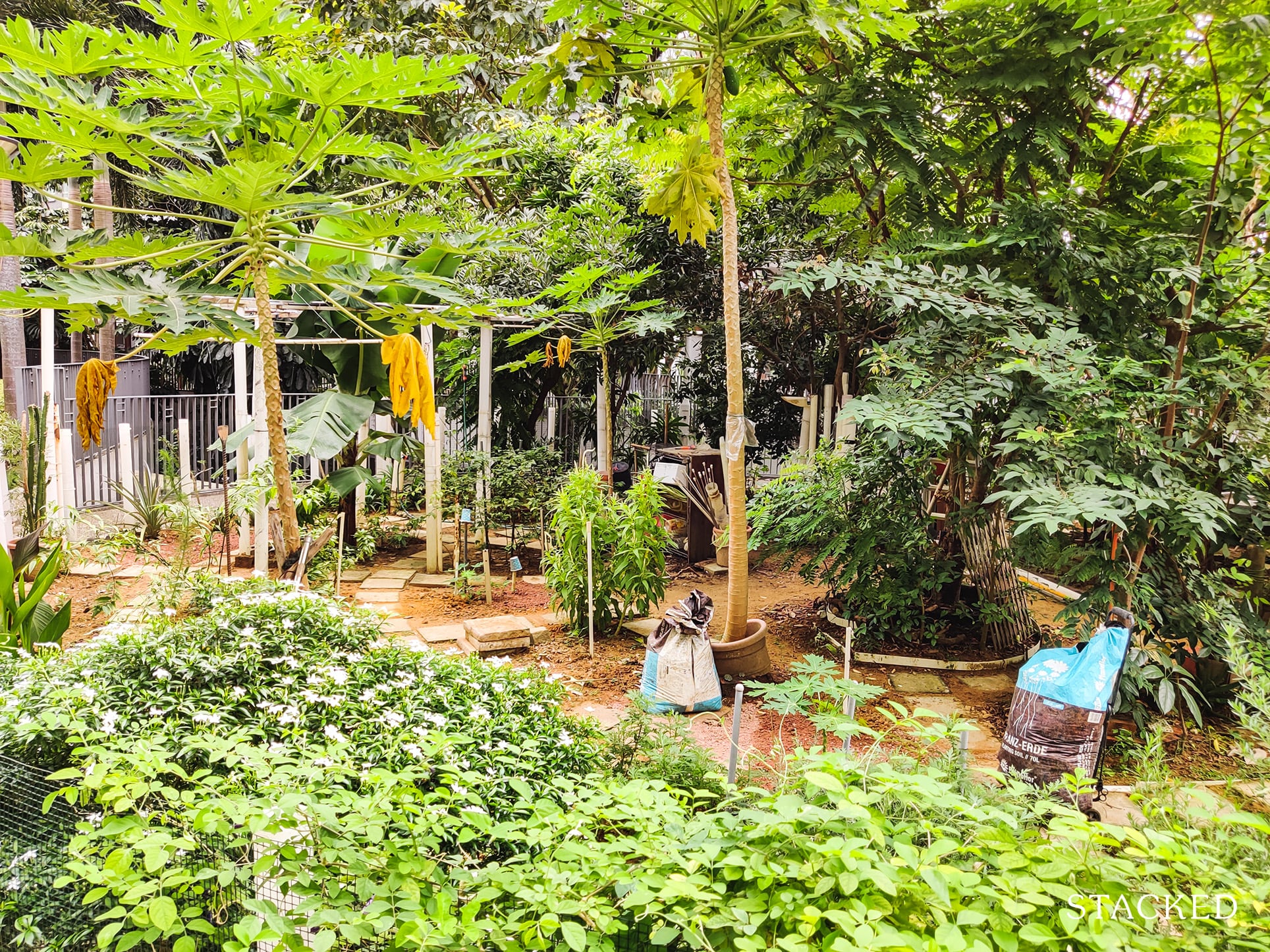 Treelodge@Punggol Community Garden 2 1
