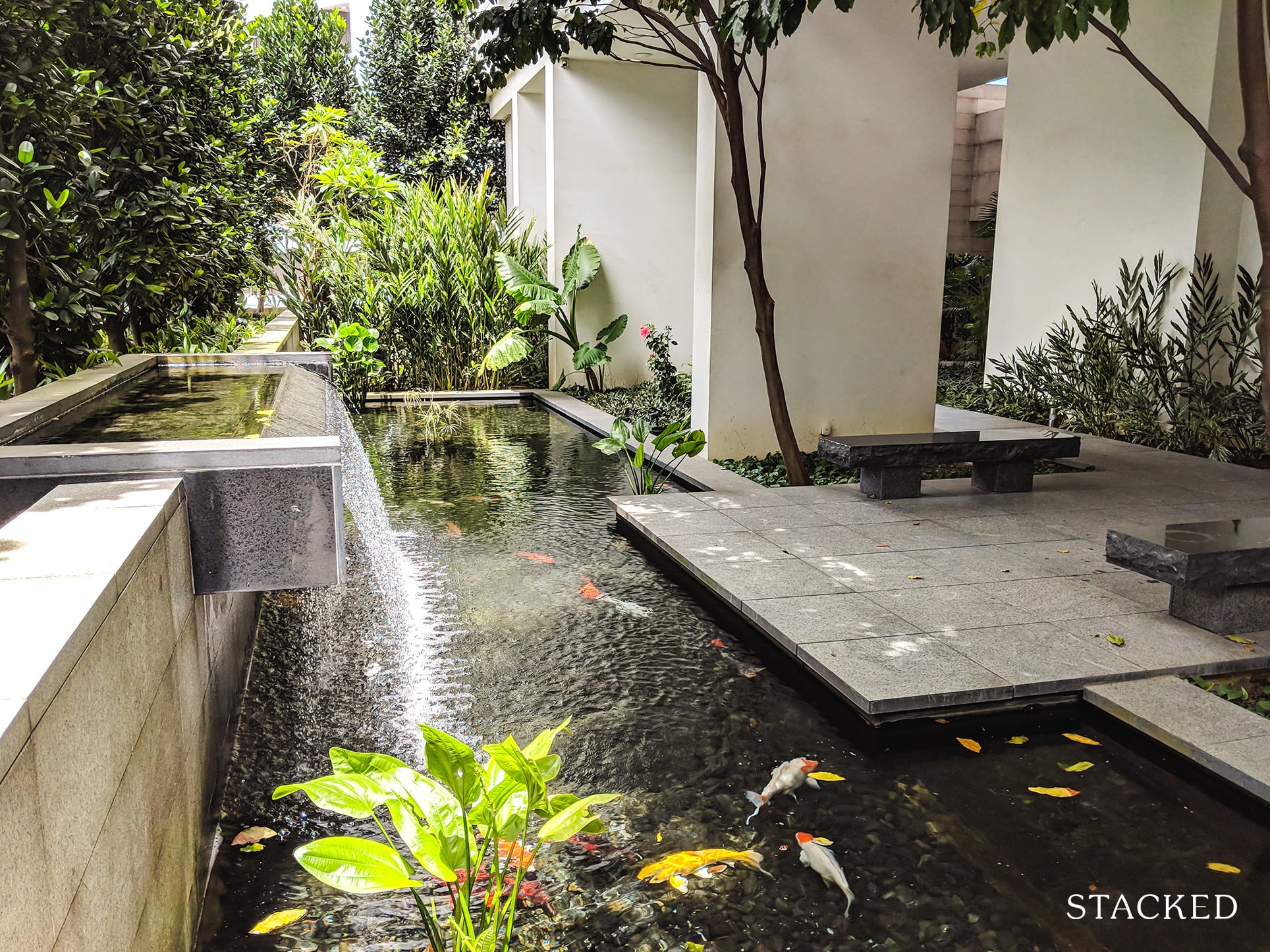 Scotts Square Condo koi pond