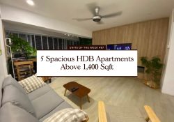 5 spacious HDBs