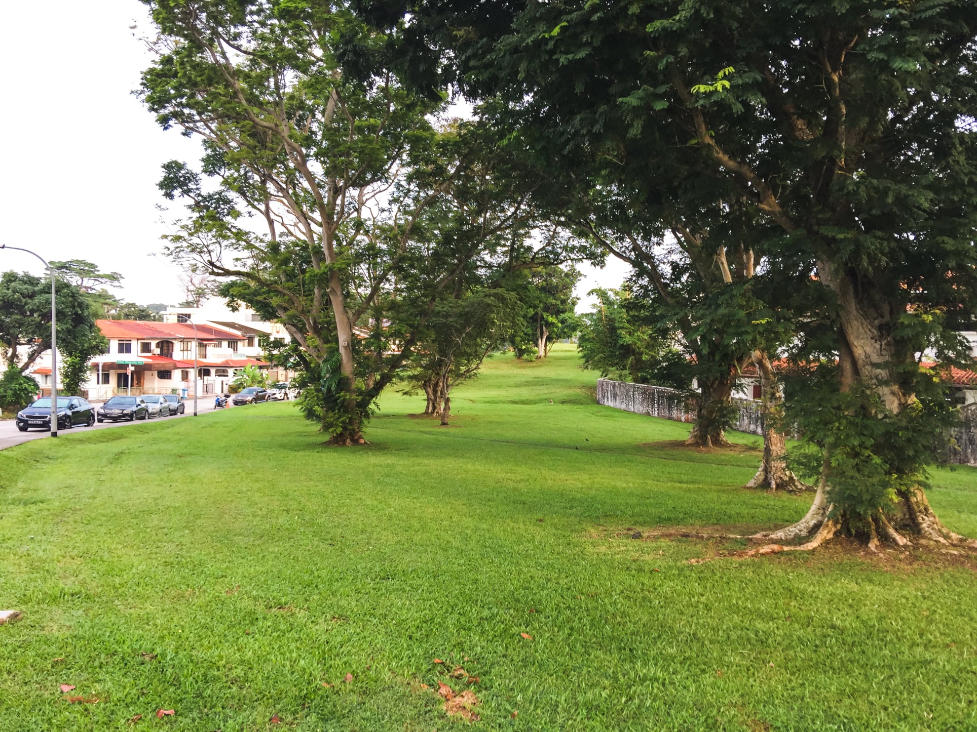 teachers housing estate green