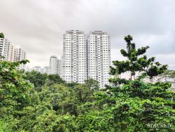 Telok Blangah Park View BTO