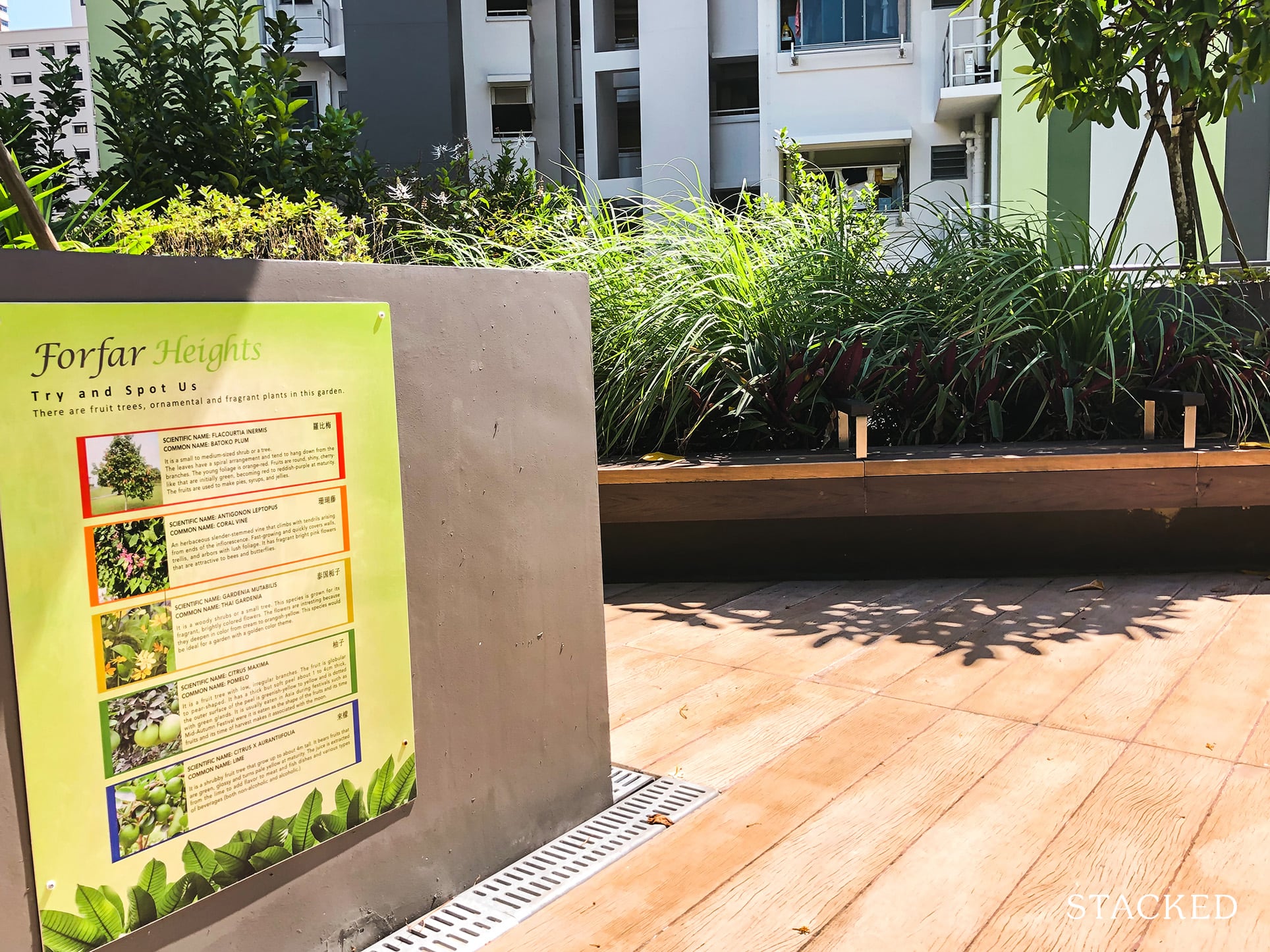 Forfar Heights Rooftop Garden