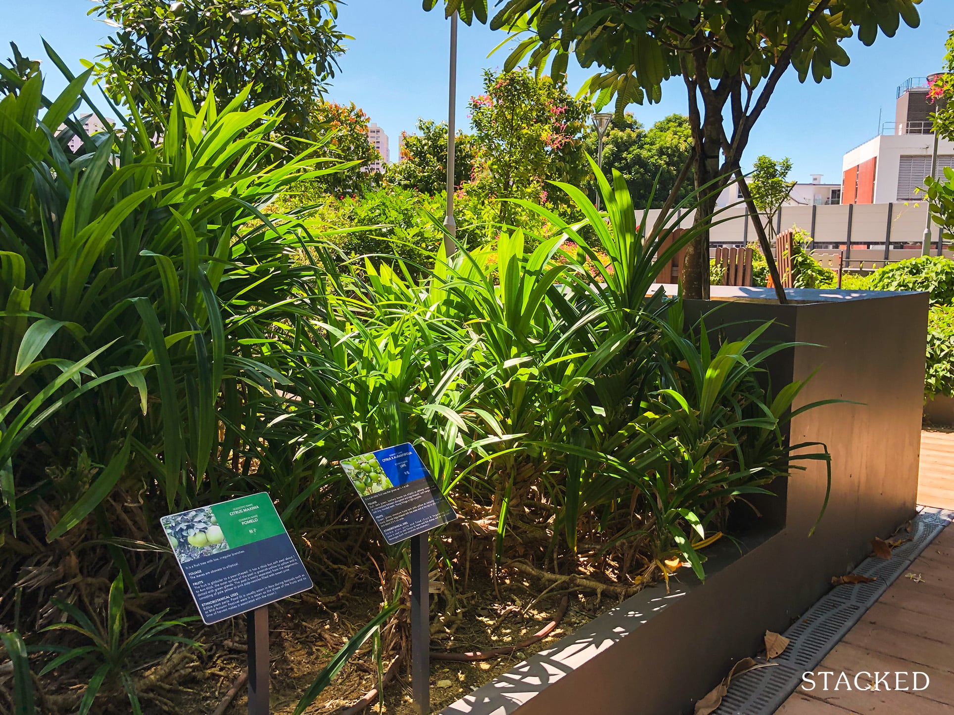 Forfar Heights Rooftop Garden