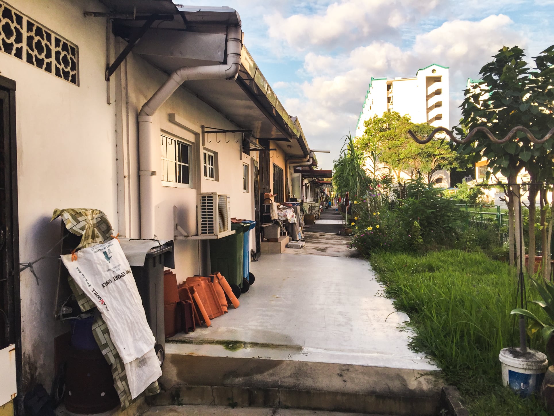 macpherson garden estate backyard