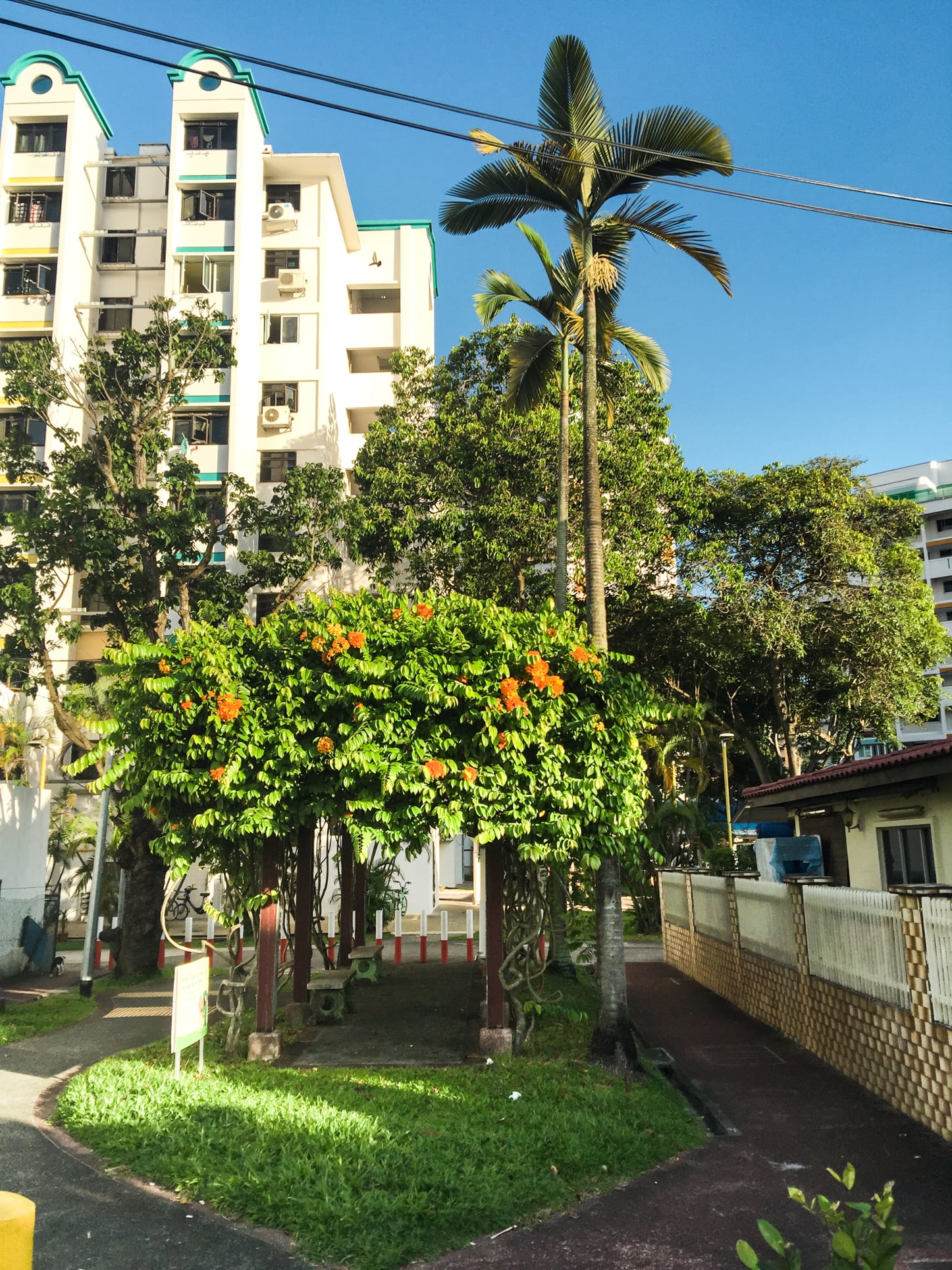 macpherson garden estate green