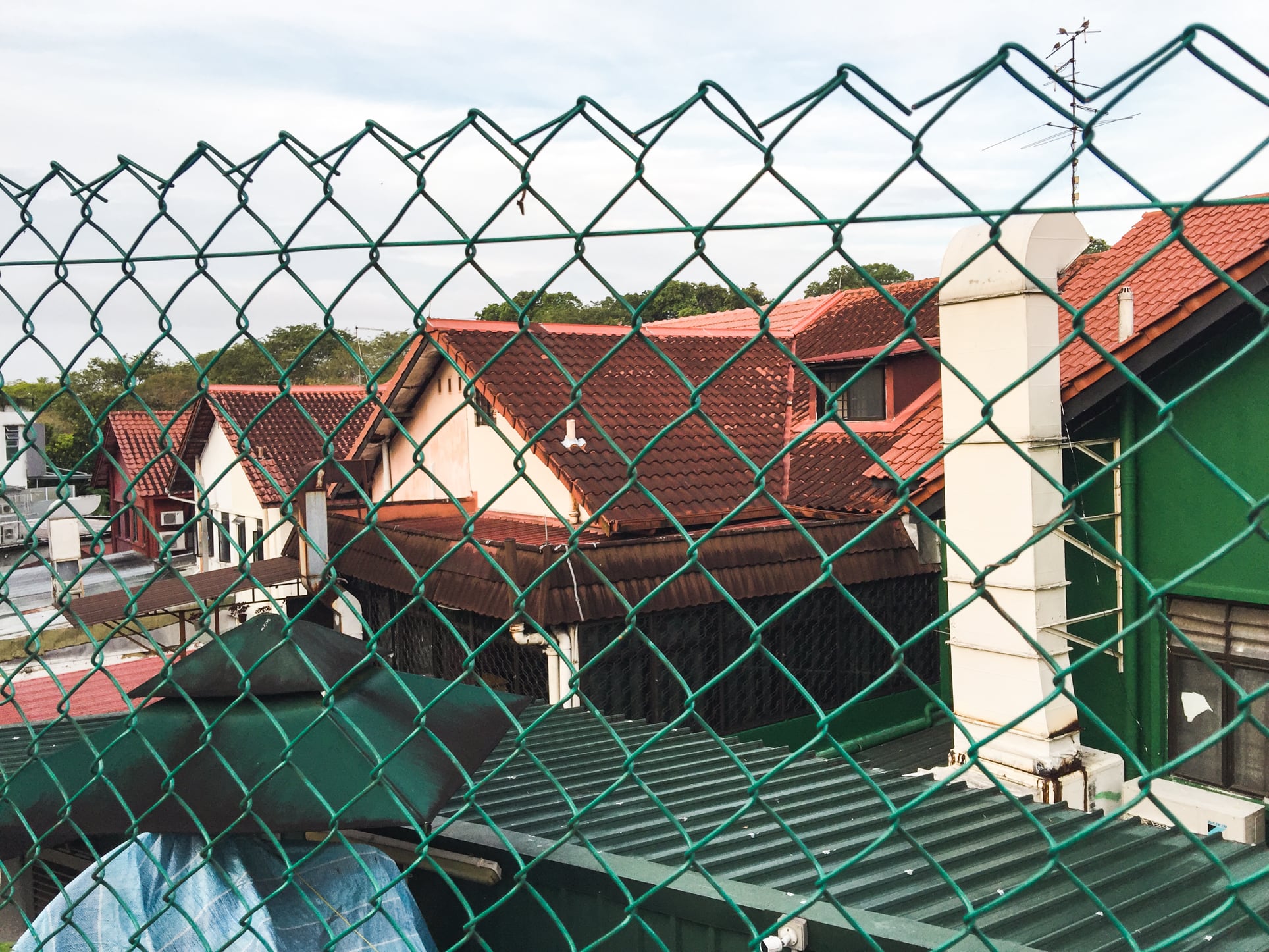 sembawang hills estate back