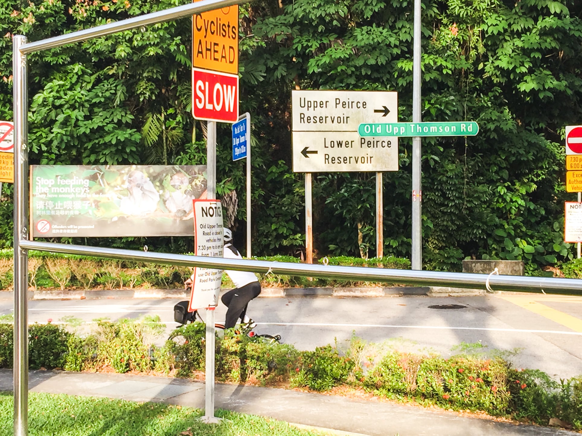 sembawang hills estate upper peirce reservoir