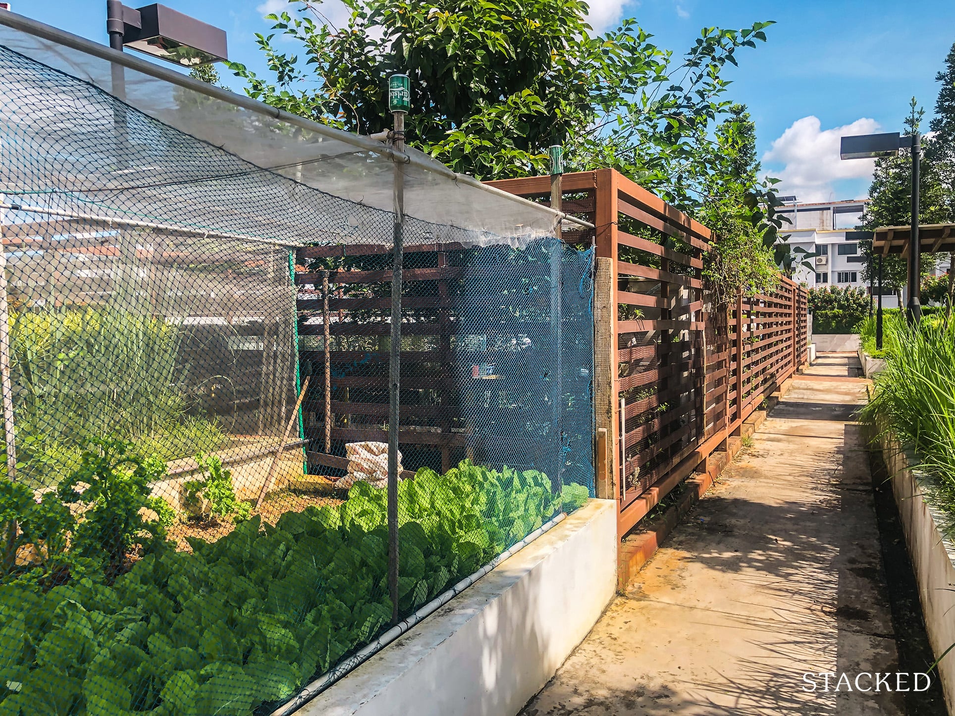 Fajar HDB 71 community garden