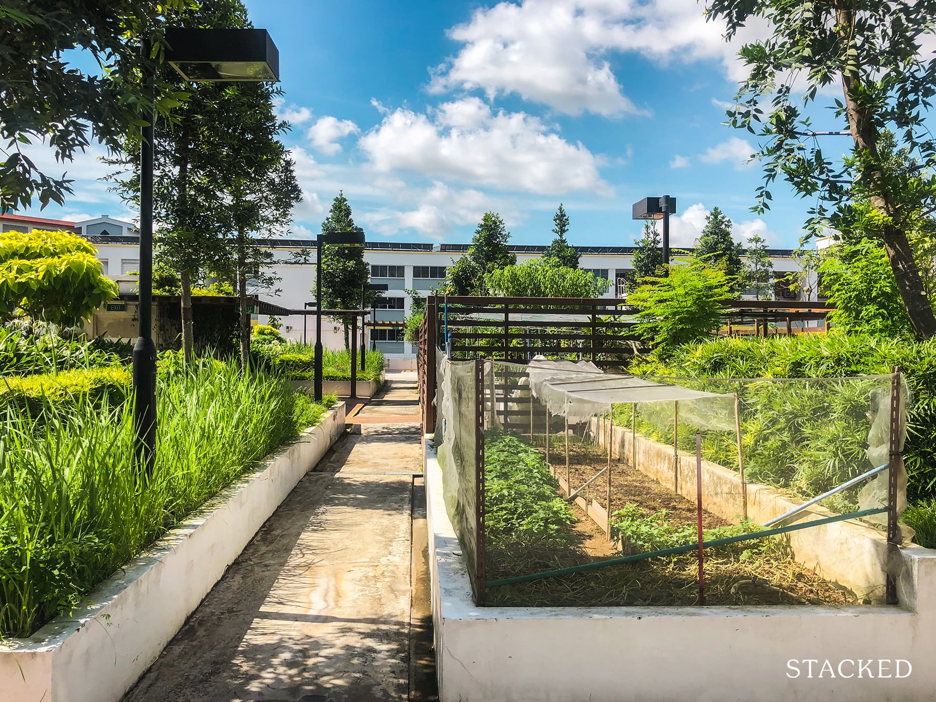 Fajar HDB 73 community garden