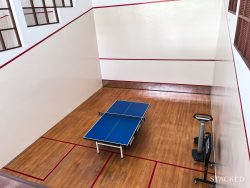 clementi park squash