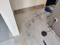 renovation scene